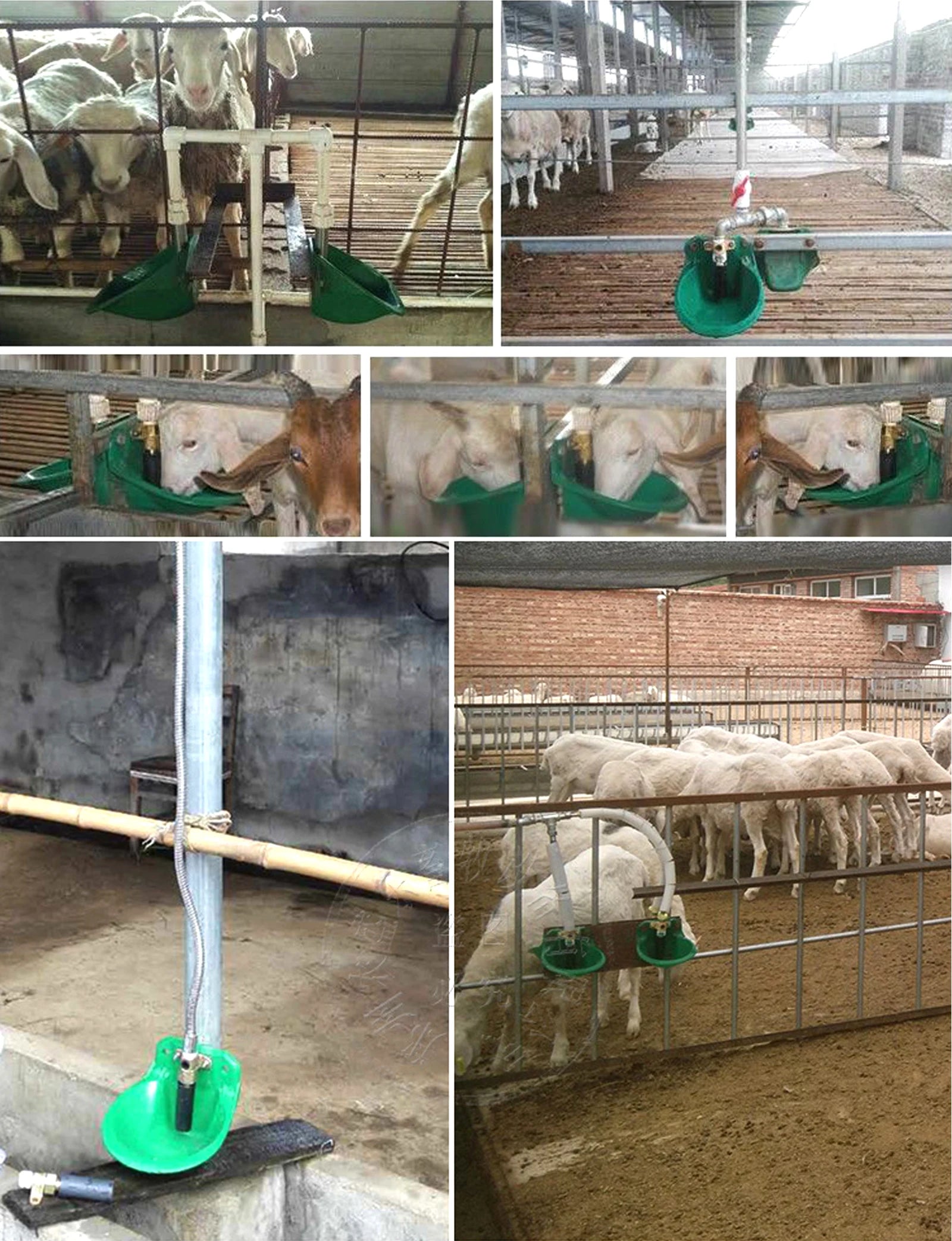 Sheep Goat Automatic Drinking Bowl Trough Goat Water Tank Sheep Drinker Sheep Feeder Professional Farm Supplies Farm Drinker 1Pc