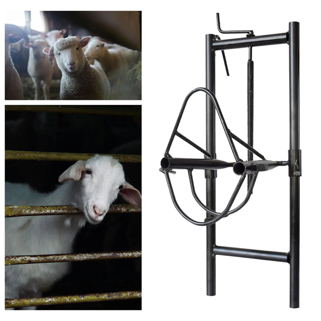 Sheep Head Fixing Bracket Livestock Supplies Stable Wear Resistant Versatile